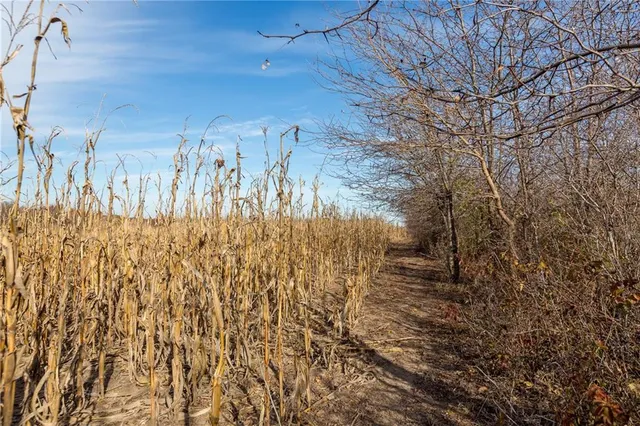 $390,500 | Tbd West Oak Street, Breckenridge, MO 64625