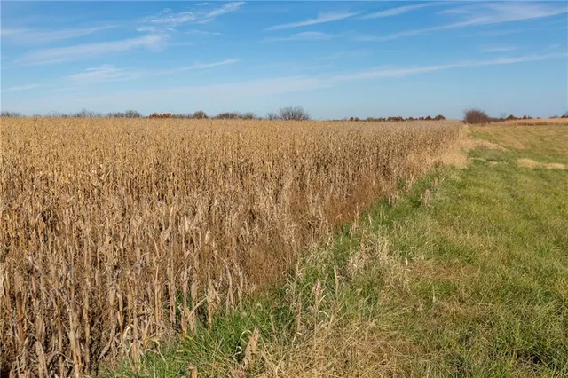 $390,500 | Tbd West Oak Street, Breckenridge, MO 64625