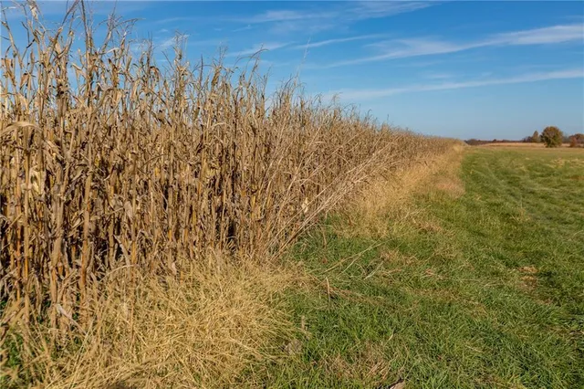 $390,500 | Tbd West Oak Street, Breckenridge, MO 64625