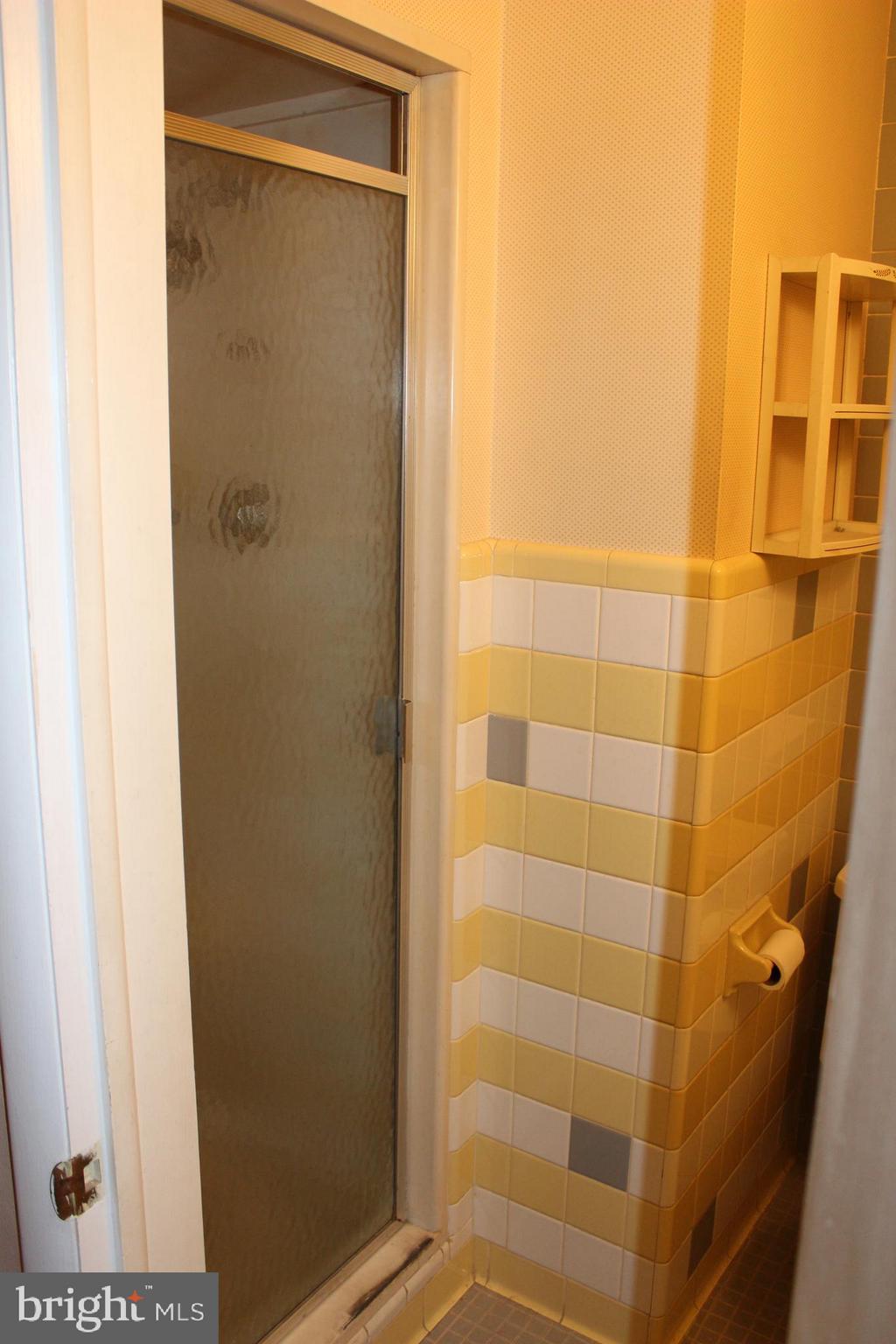 24 Carrolls Tract Road Fairfield, PA 17320 - Photo 30 of 47 Master Bath