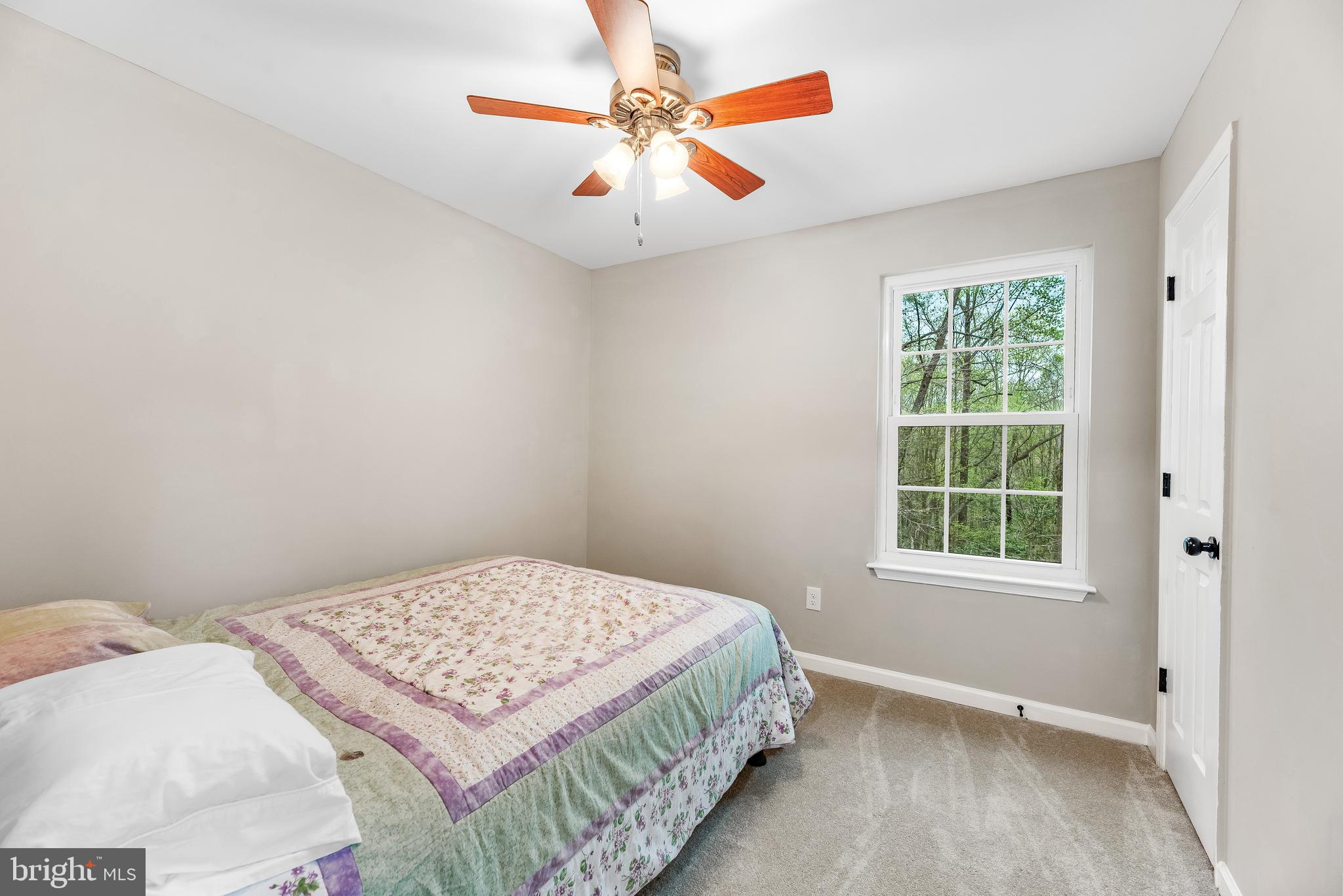 25696 Ricky Drive Hollywood, MD 20636 - Photo 43 of 44 Bedroom #4