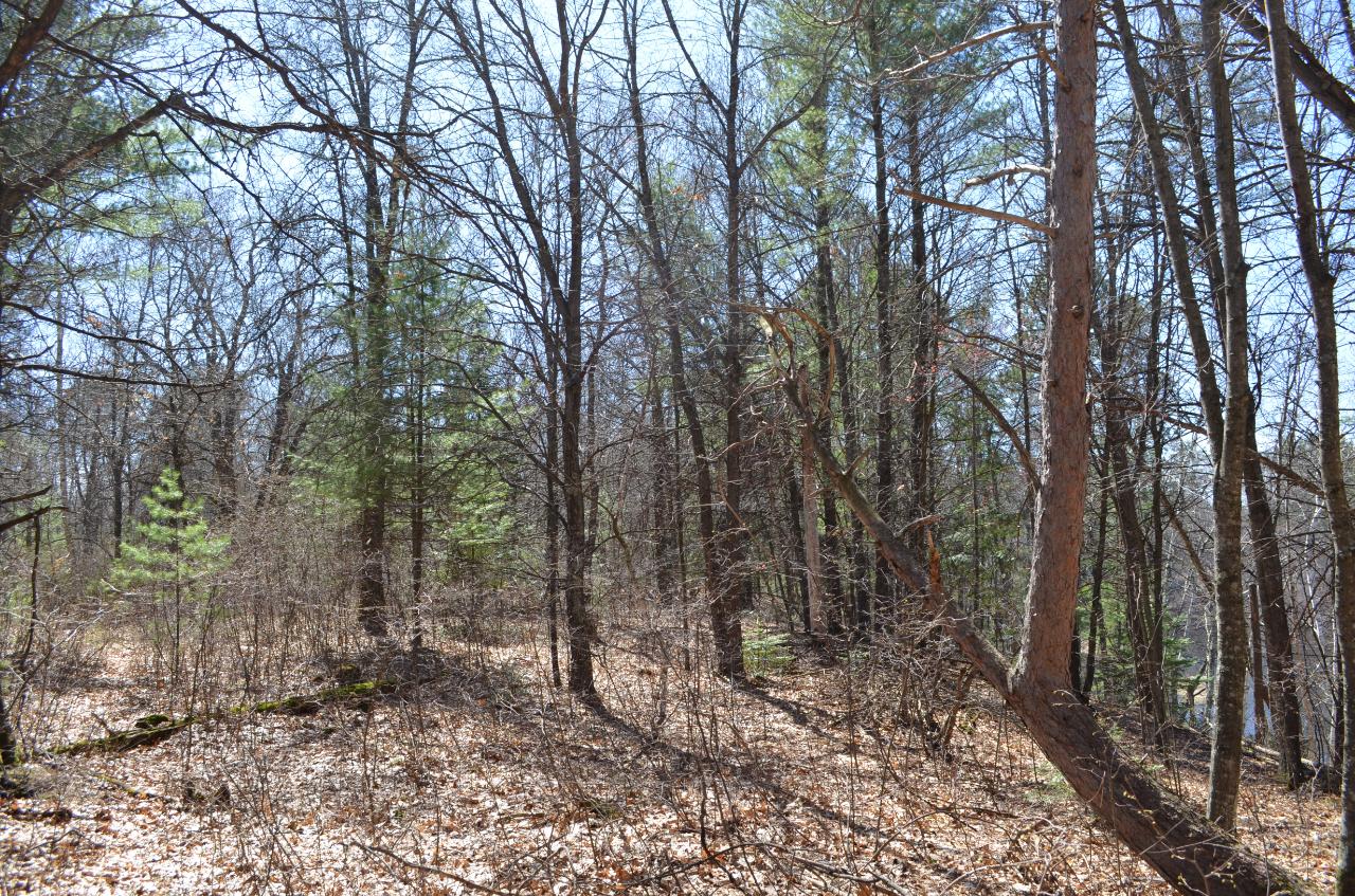 Lot 5 Point O Pines Road Tomahawk, WI 54487 - Photo 18 of 25 Gallery Image 18