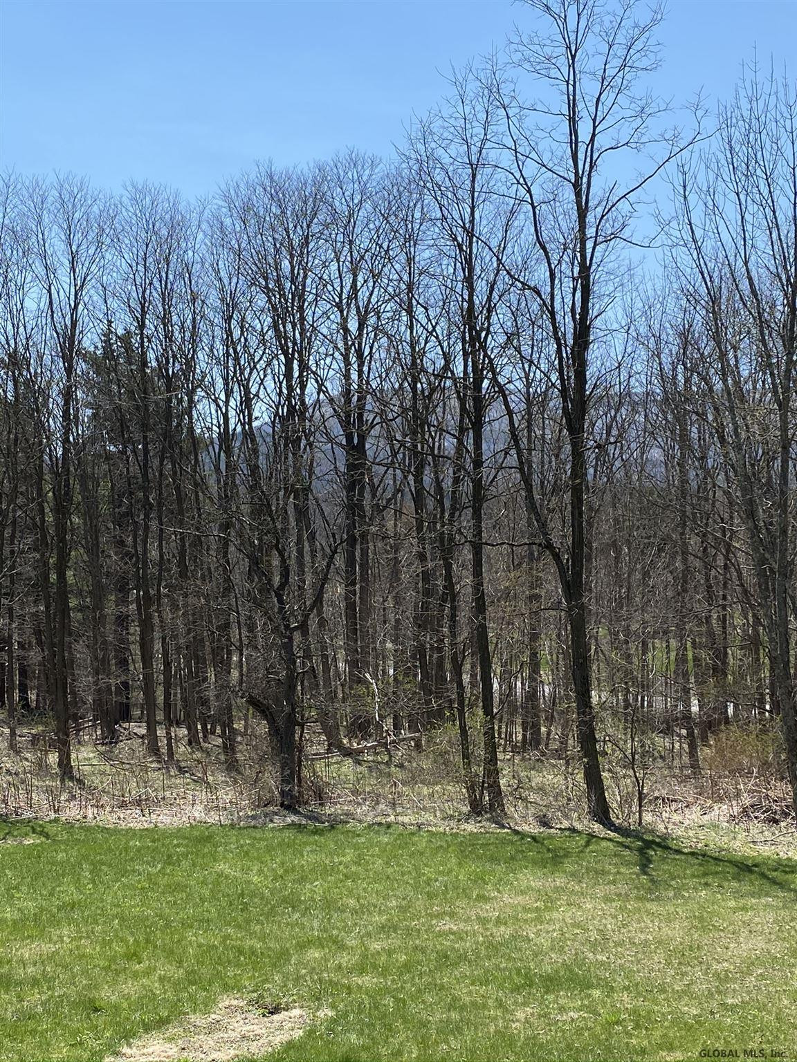 2929 Co Rte 20 Durham, NY 12418 - Photo 24 of 40 Photo 24