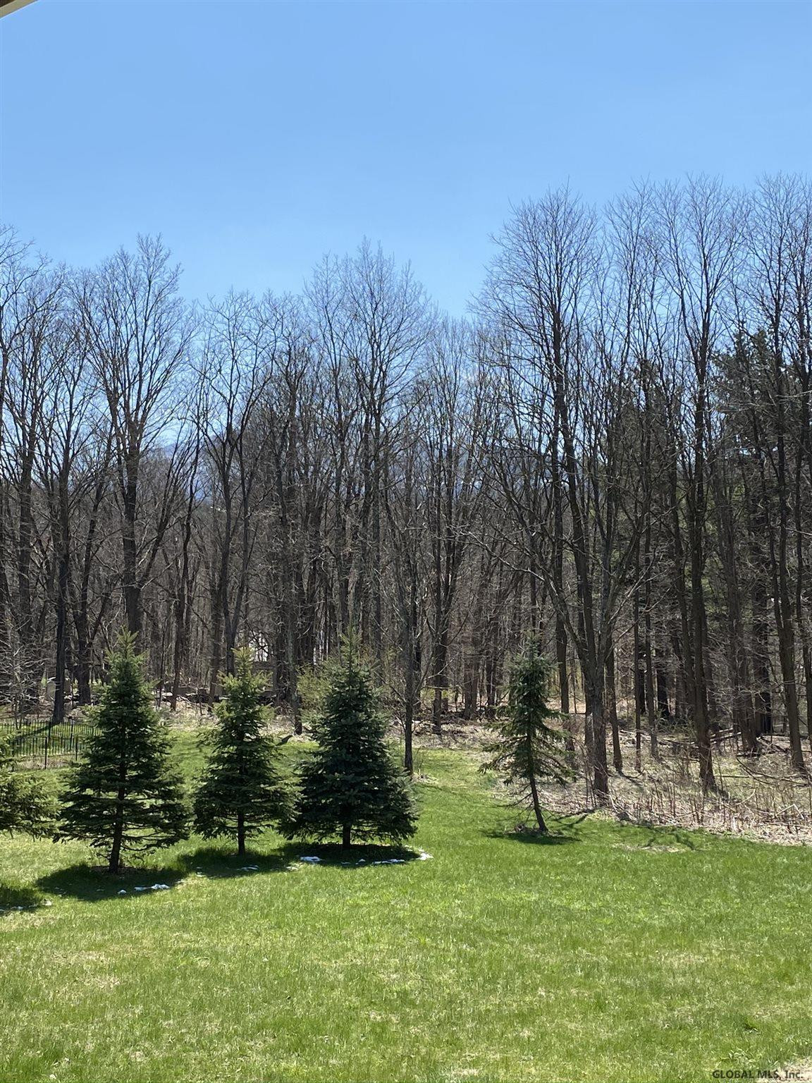2929 Co Rte 20 Durham, NY 12418 - Photo 25 of 40 Photo 25