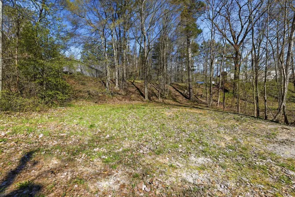 $120,000 | 6059 Terry Drive, Six Lakes, MI 48886