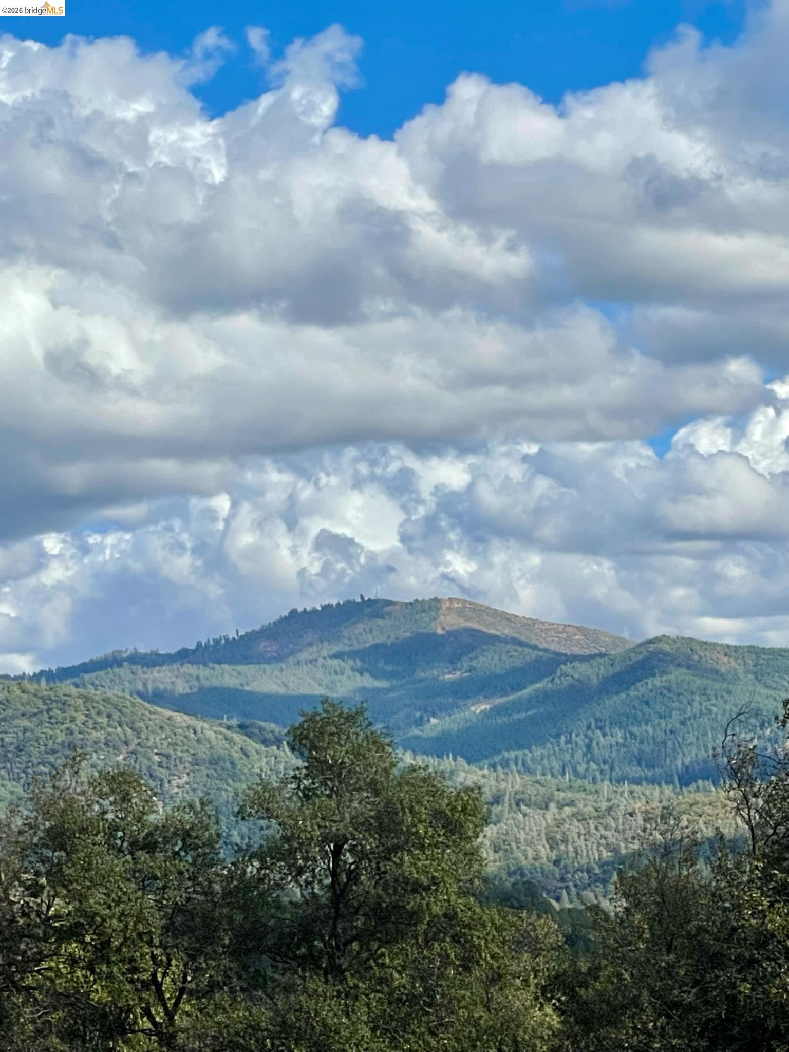 19361 Cherokee Road Tuolumne, CA 95379 - Photo 3 of 41 a view of an outdoor space and garden