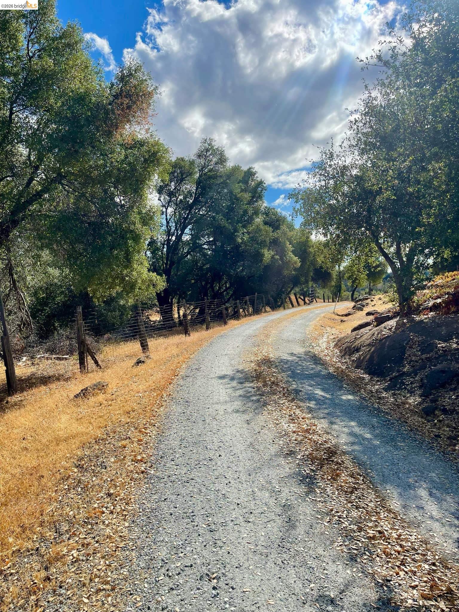 19361 Cherokee Road Tuolumne, CA 95379 - Photo 41 of 41 a view of a yard with a tree