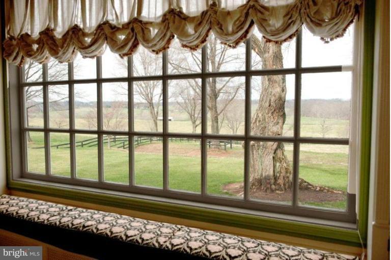 3386 Prince Road Marshall, VA 20115 - Photo 11 of 23 View from Unit