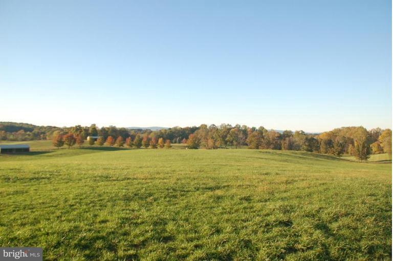 3386 Prince Road Marshall, VA 20115 - Photo 18 of 23 Pasture