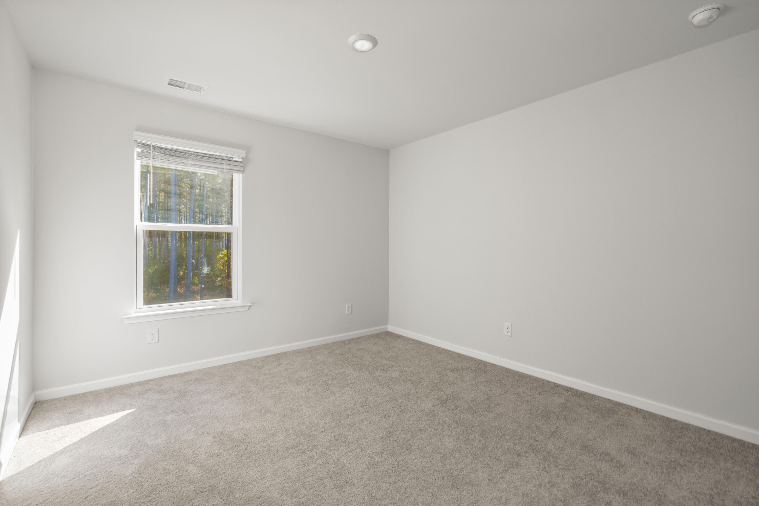 337 Bering Lane Summerville, SC 29486 - Photo 35 of 61 36a