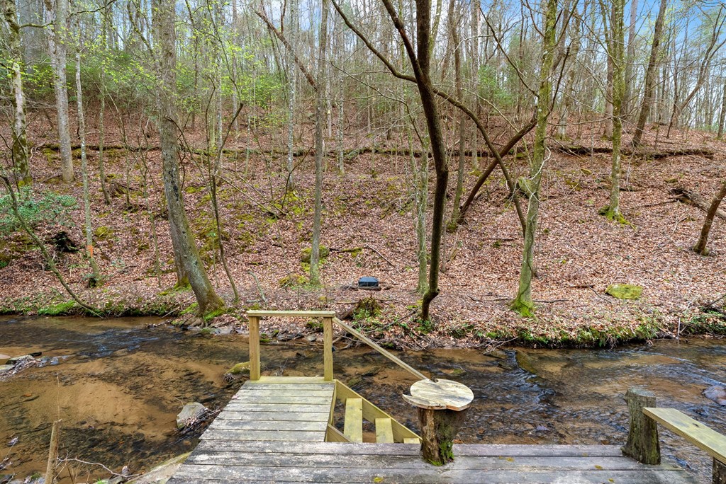 2879 Rodgers Creek Road Ellijay, GA 30540 - Photo 6 of 22 Gallery Image 6