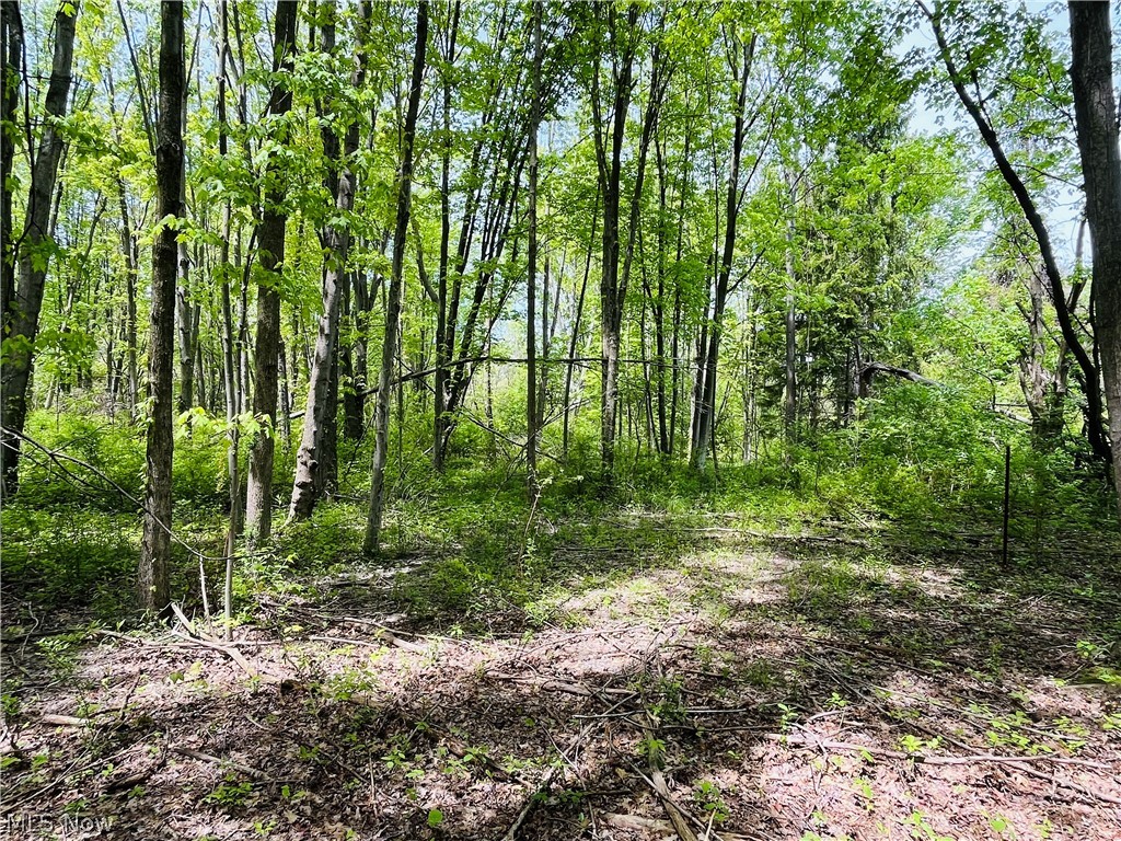 Bates Road Madison, OH 44057 - Photo 1 of 14