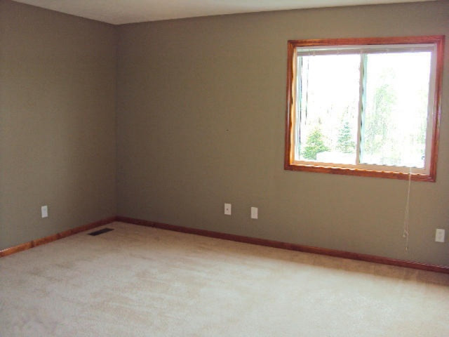 136 Irving Road Middleville, MI 49333 - Photo 8 of 16 bed 1 up