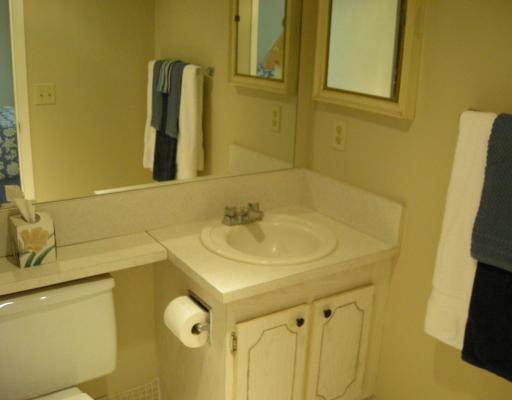 202 Mansfield East, Unit E Boca Raton, FL 33434 - Photo 12 of 16 Master Bath/Spa