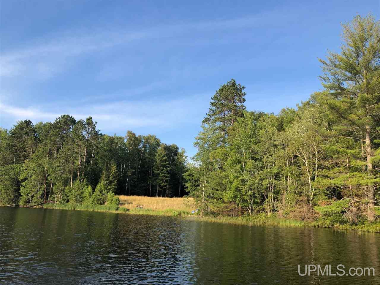 14665 Mahskeekee Lake 33 Rd (co Rd 442) Wetmore, MI 49895 - Photo 3 of 9