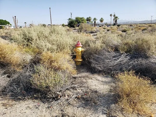 a view of a yard with wooden fence