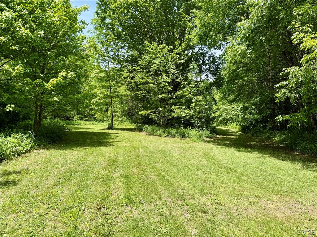 6229 Isenecker Road Leyden, NY 13309 - Photo 31 of 44 Small Clearing on 2nd Parcel