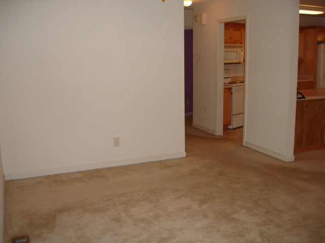 131 Coleman Road Wellford, SC 29385 - Photo 5 of 24