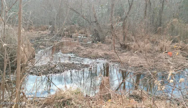 $240,000 | 15-acres Lawrence Road, Sanford, NC 27330