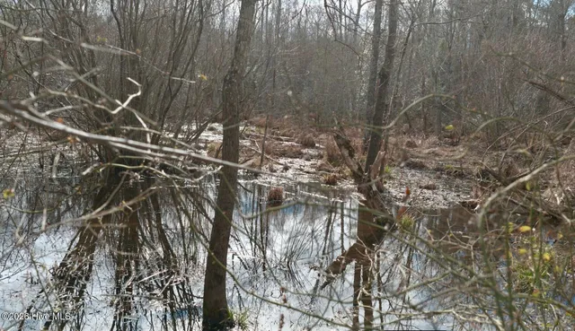 $240,000 | 15-acres Lawrence Road, Sanford, NC 27330