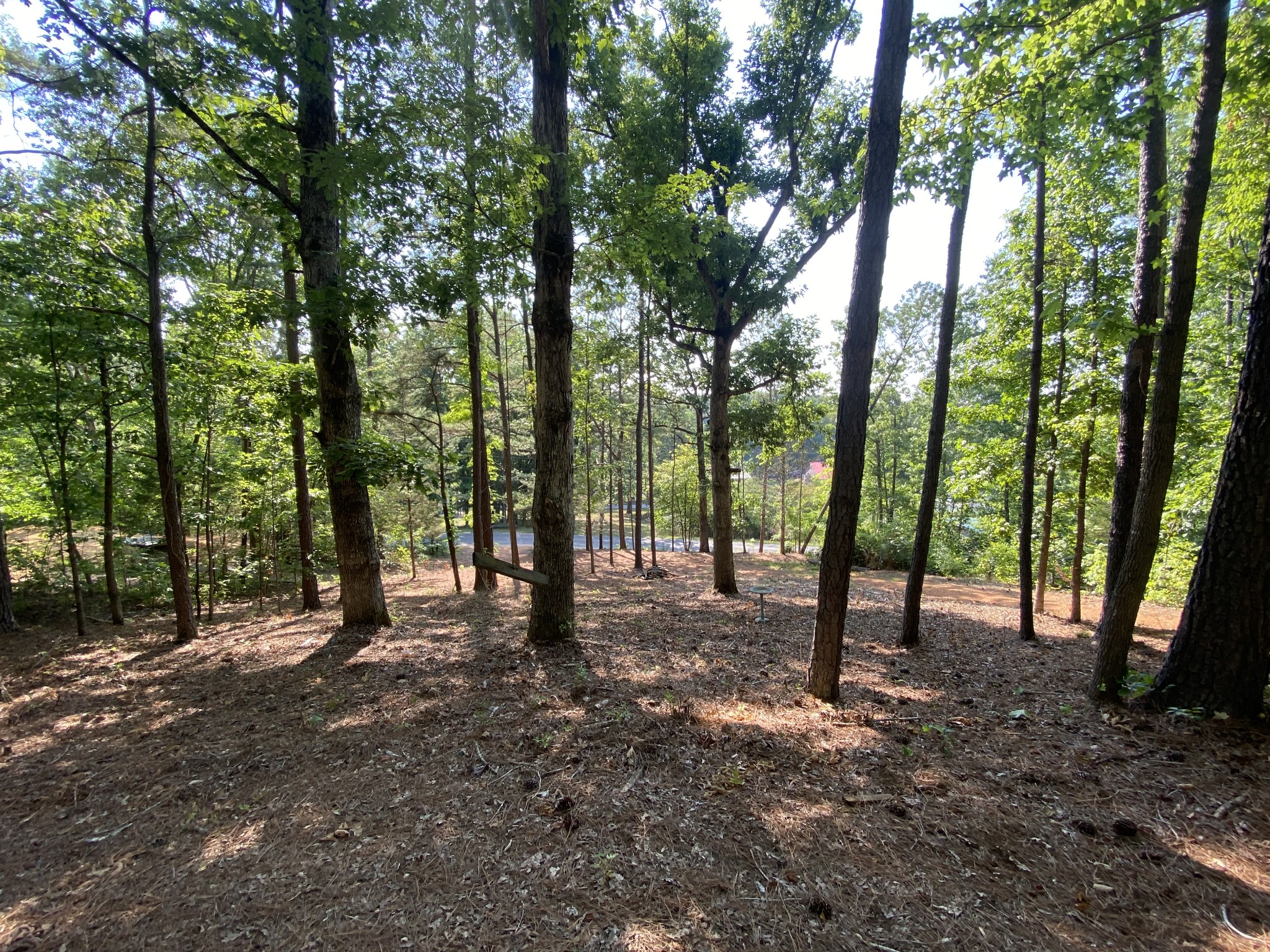 11146 Cuba Landing Road Waverly, TN 37185 - Photo 1 of 14 Seasonal Water Views
