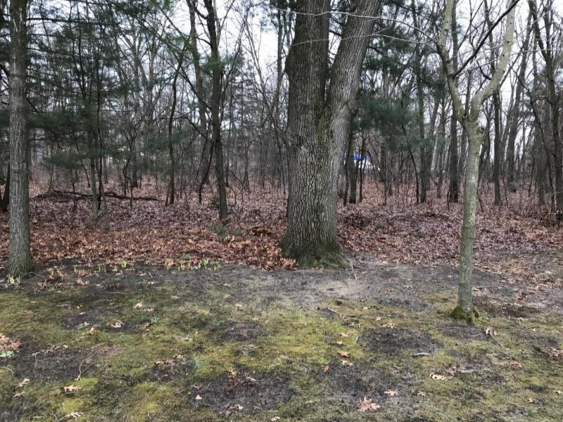 2956 Ridgeview Street North Muskegon, MI 49445 - Photo 4 of 44 20190409021043774404000000-o