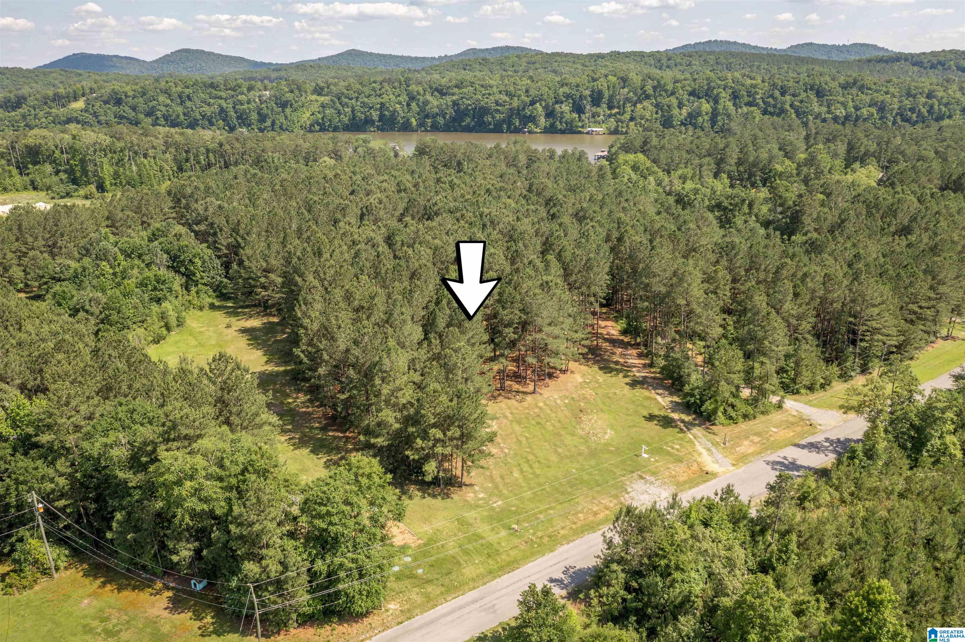 89 Golden Pond Road, Unit 9 Ashville, AL 35953 - Photo 7 of 35