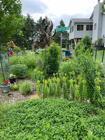 $520,000 | 745 Treetop Lane Southwest, Oronoco, MN 55960