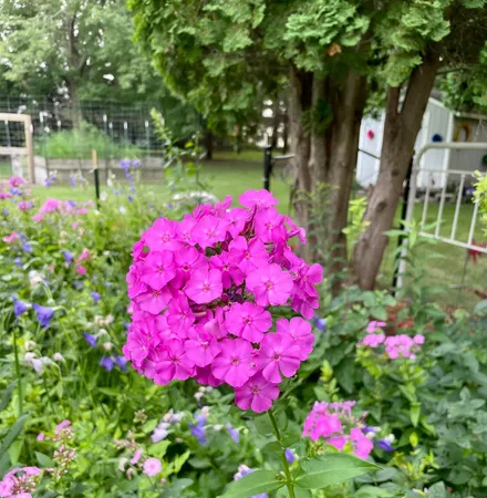 $520,000 | 745 Treetop Lane Southwest, Oronoco, MN 55960