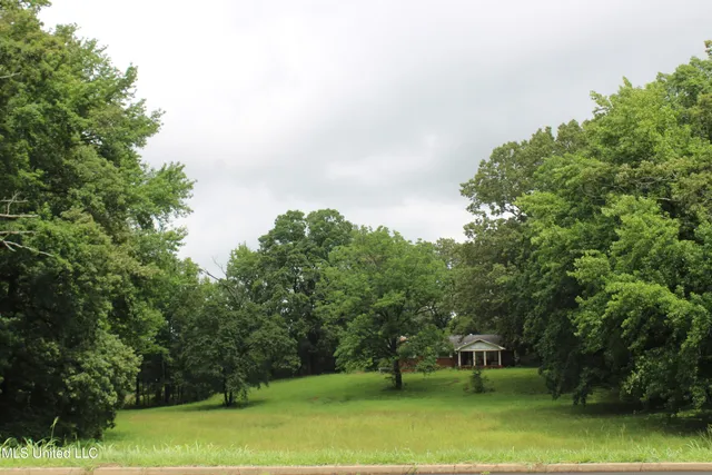 $1,350,000 | 8484 Goodman Road, Olive Branch, MS 38654