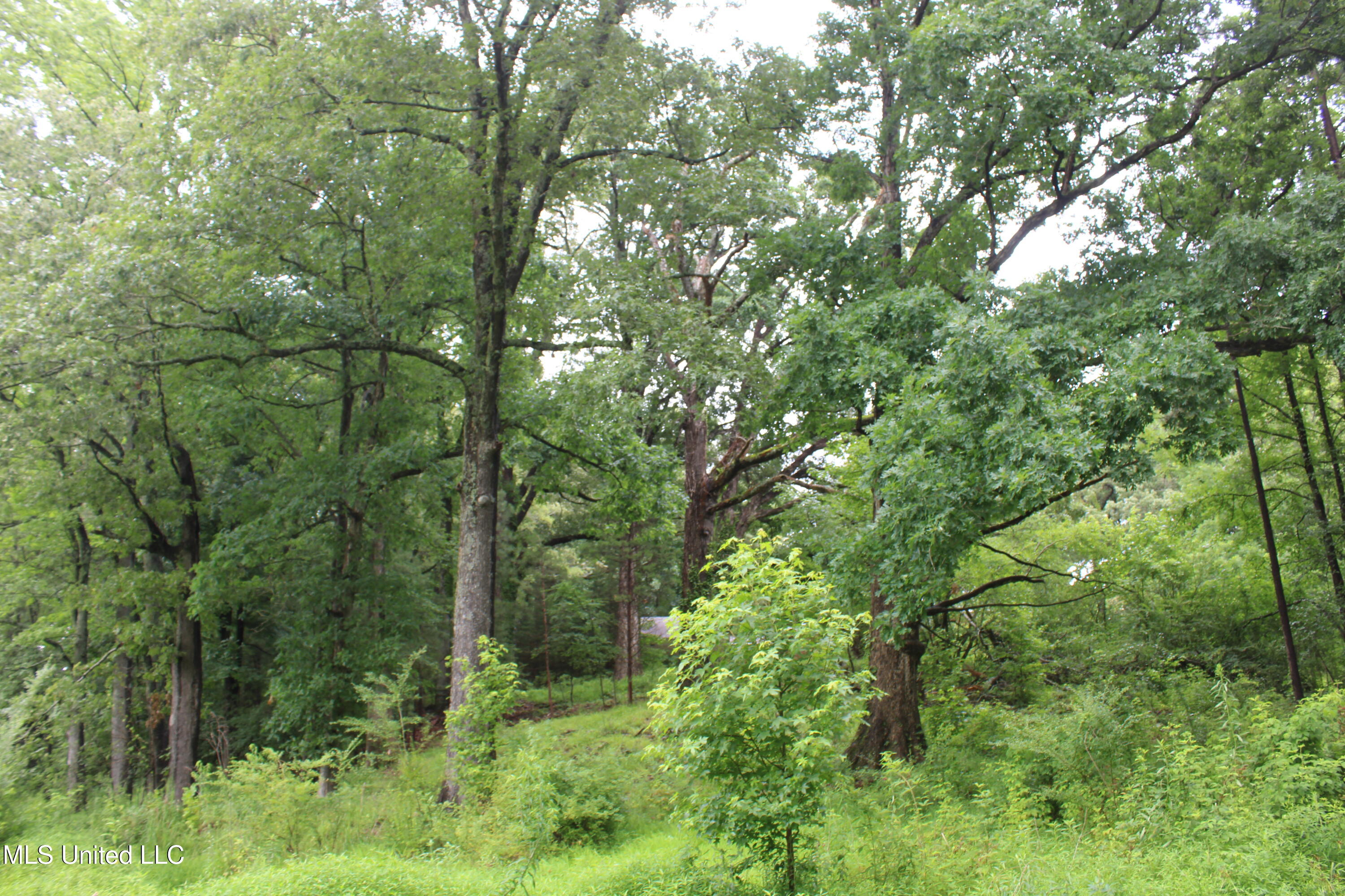 8484 Goodman Road Olive Branch, MS 38654 - Photo 11 of 15 IMG_6259