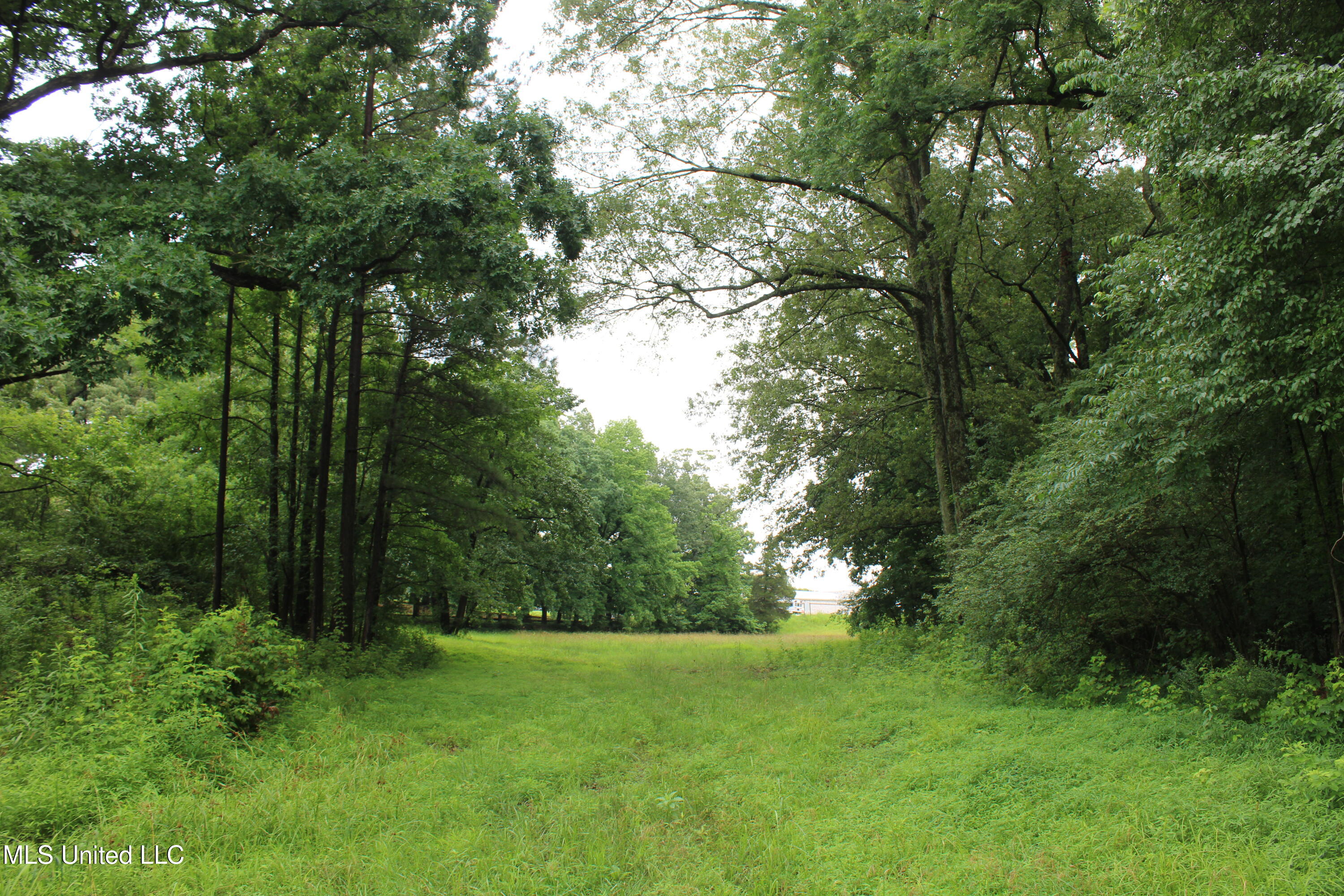 8484 Goodman Road Olive Branch, MS 38654 - Photo 12 of 15 IMG_6260