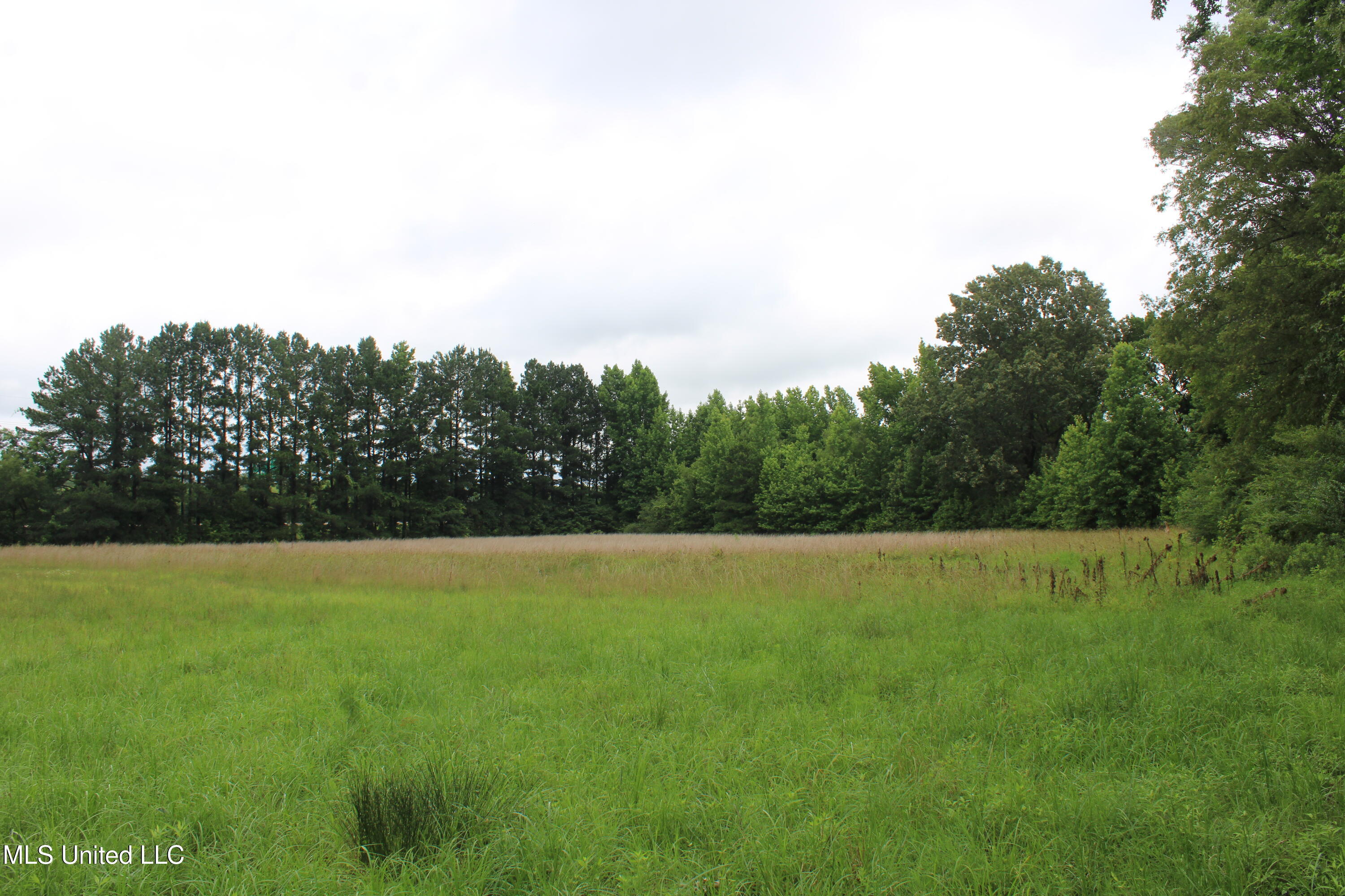 8484 Goodman Road Olive Branch, MS 38654 - Photo 13 of 15 IMG_6261