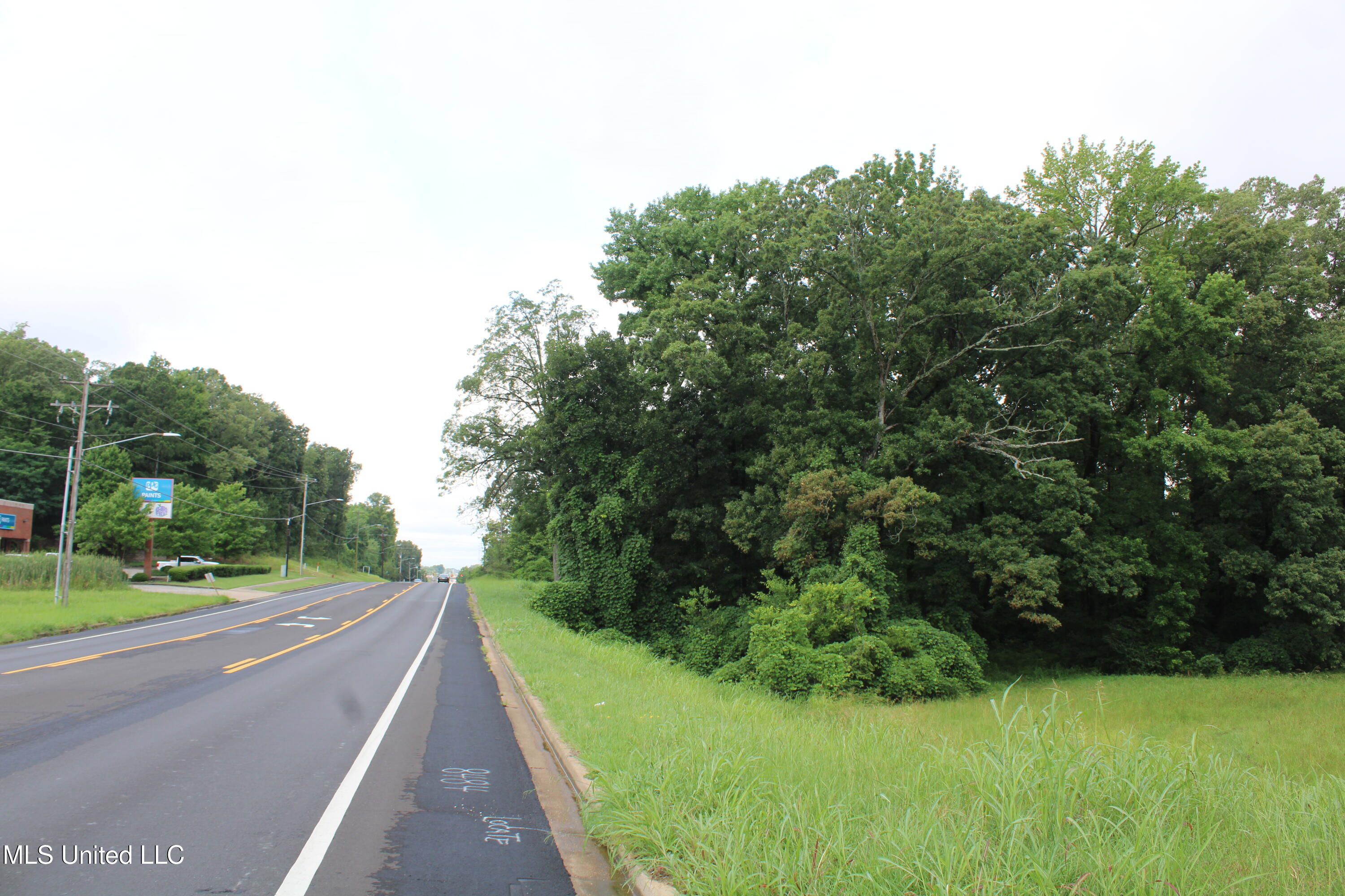 8484 Goodman Road Olive Branch, MS 38654 - Photo 3 of 15 IMG_6250