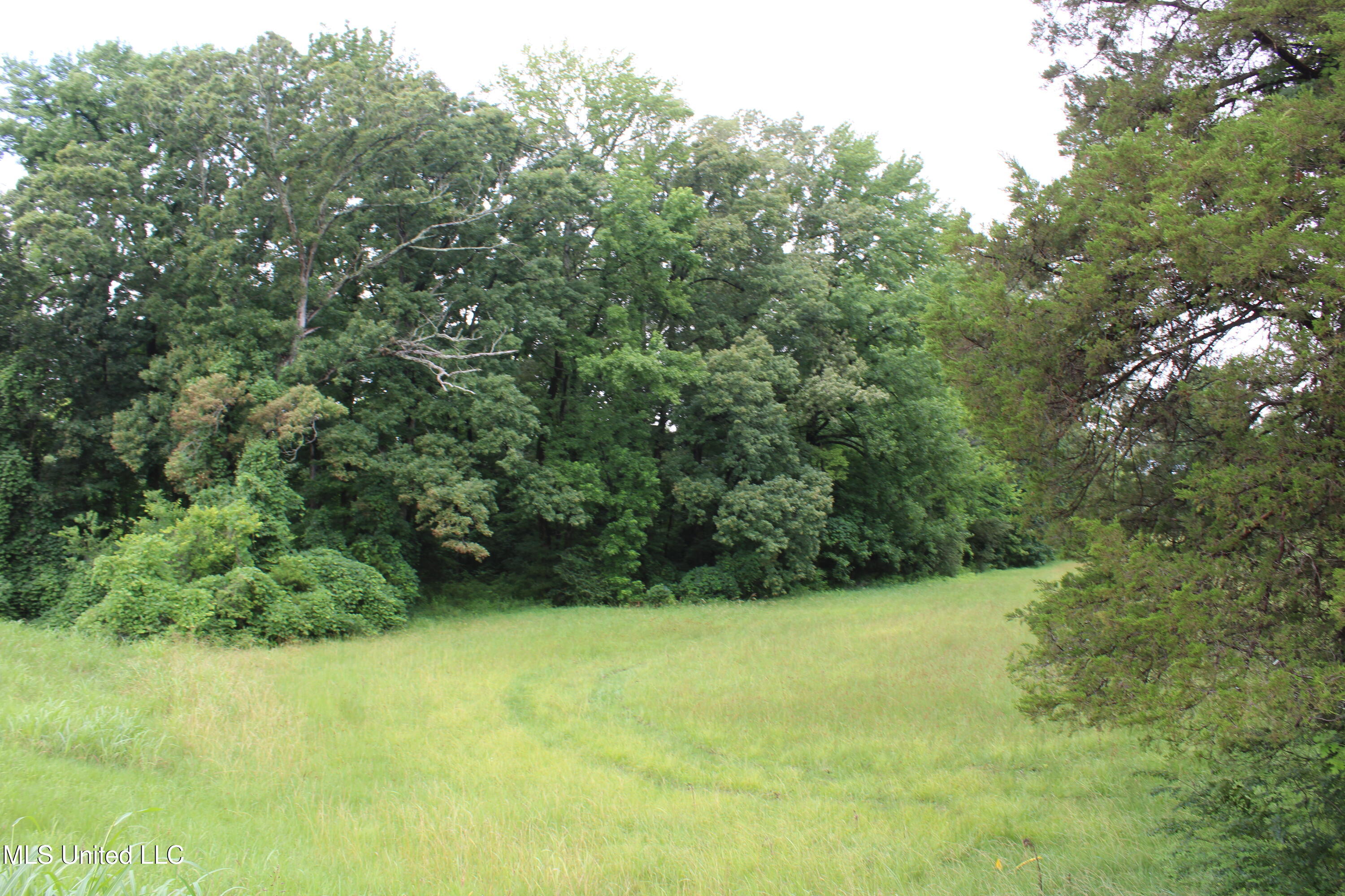 8484 Goodman Road Olive Branch, MS 38654 - Photo 4 of 15 IMG_6251