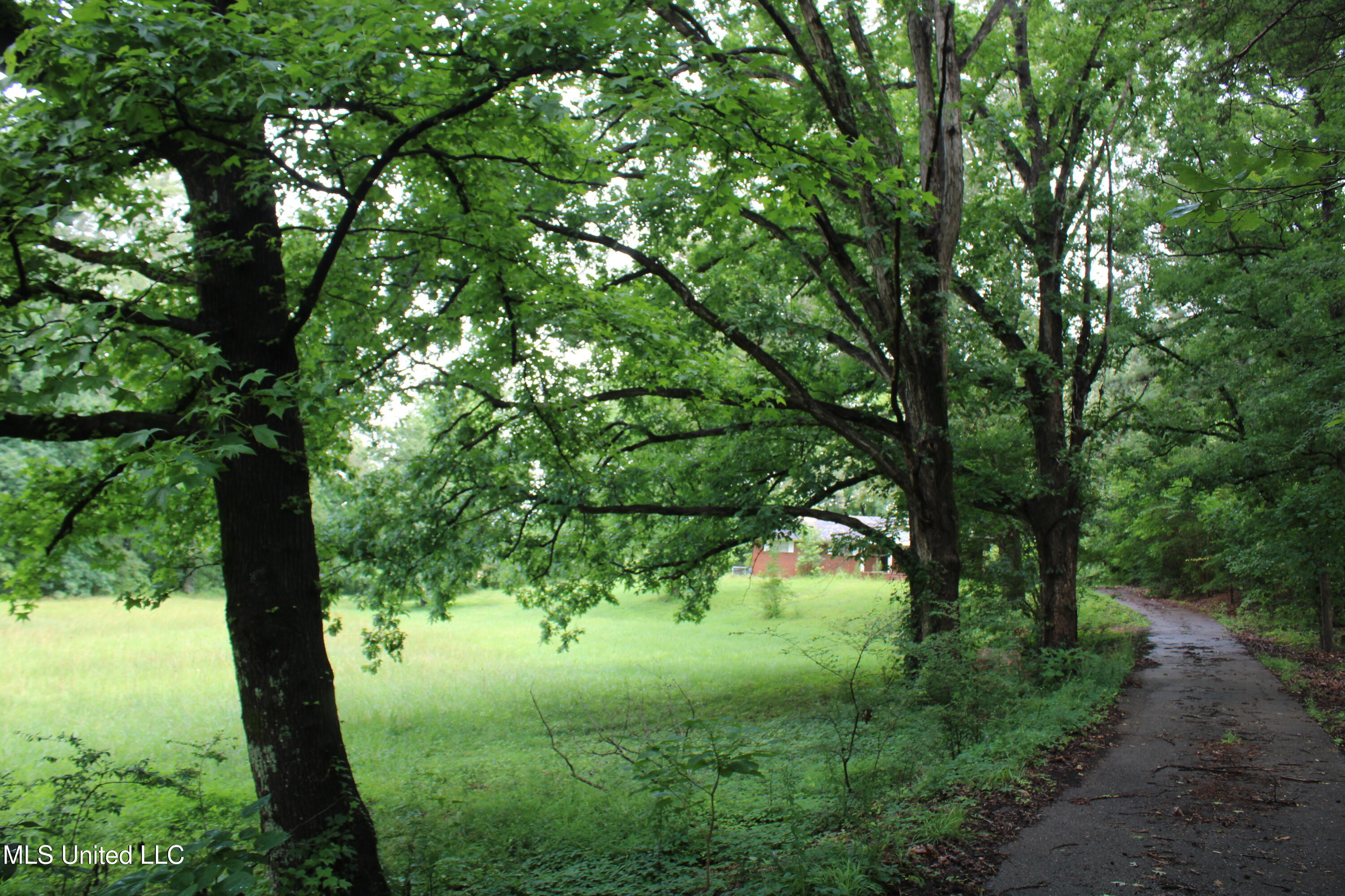 8484 Goodman Road Olive Branch, MS 38654 - Photo 5 of 15 IMG_6252