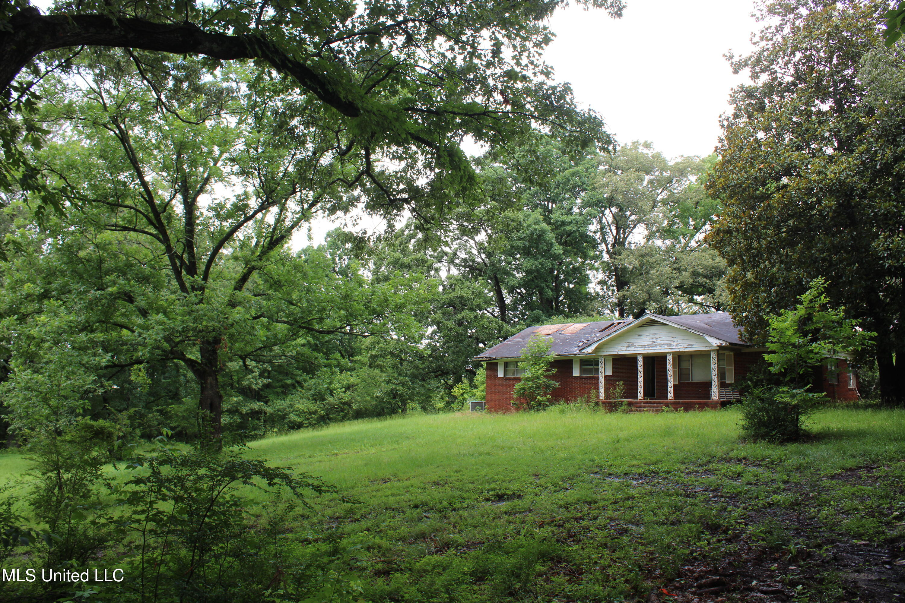 8484 Goodman Road Olive Branch, MS 38654 - Photo 6 of 15 IMG_6253