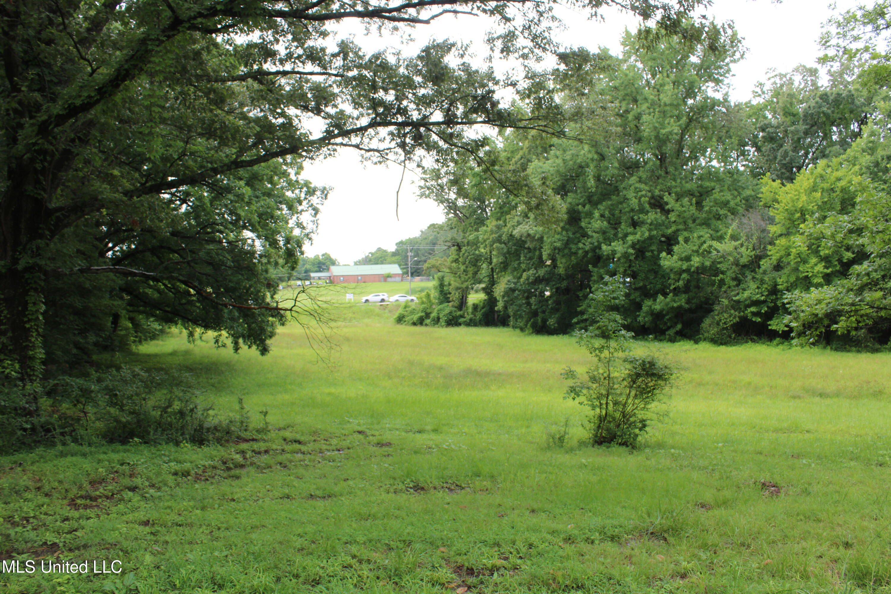 8484 Goodman Road Olive Branch, MS 38654 - Photo 7 of 15 IMG_6254