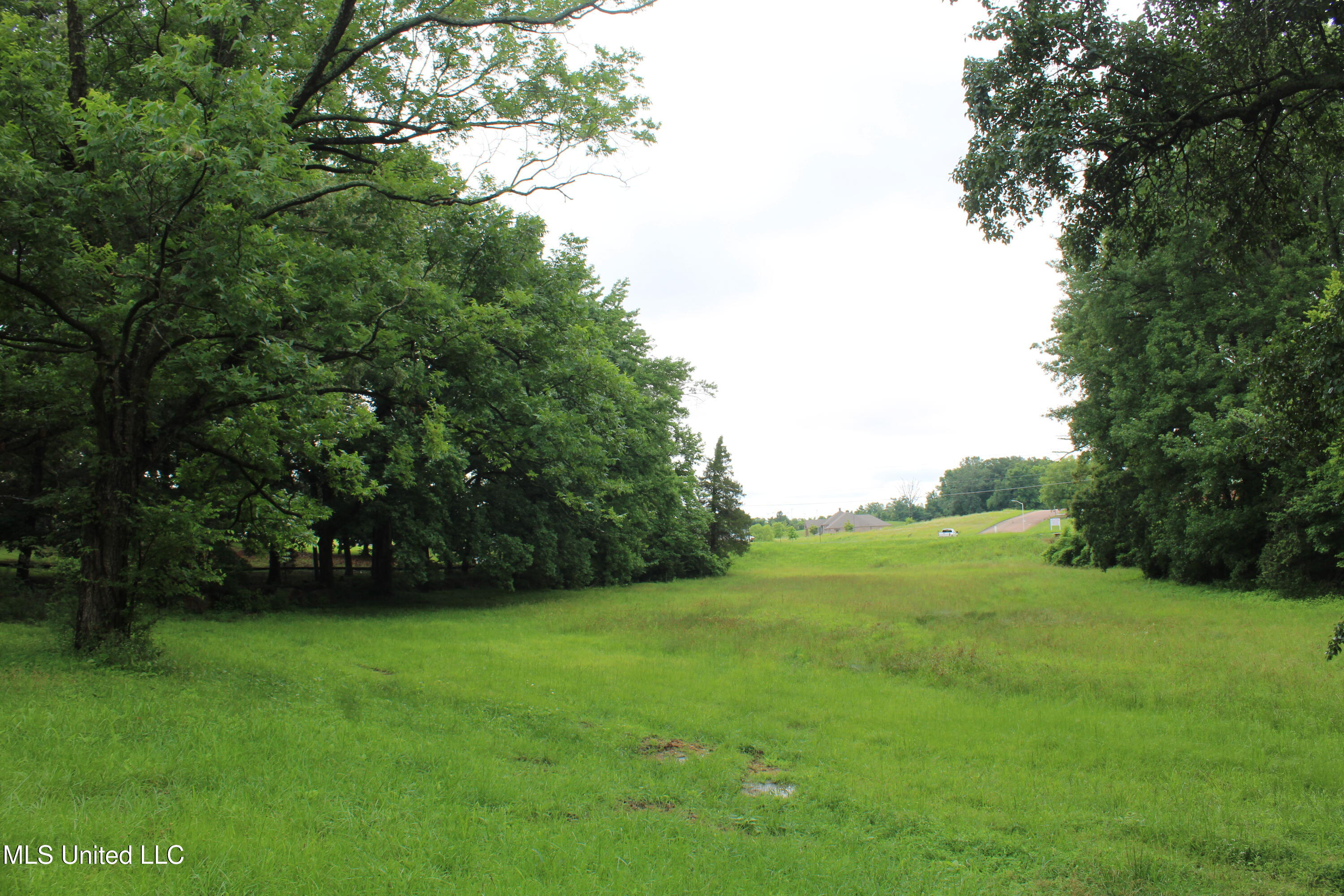 8484 Goodman Road Olive Branch, MS 38654 - Photo 8 of 15 IMG_6256