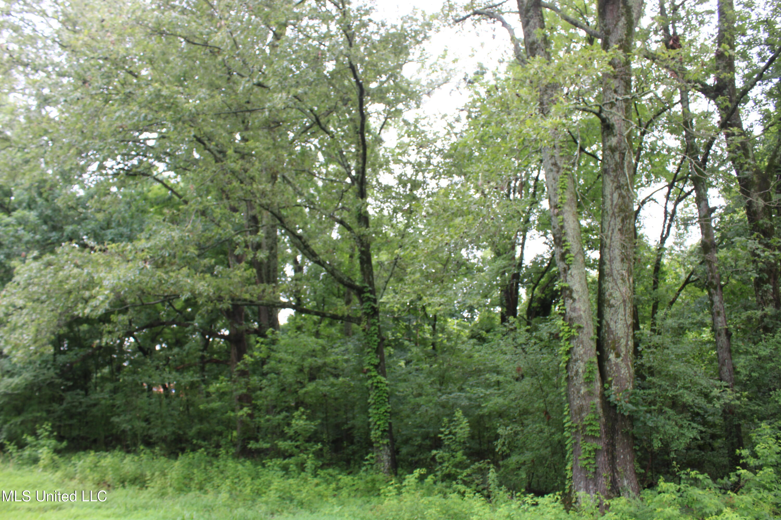 8484 Goodman Road Olive Branch, MS 38654 - Photo 9 of 15 IMG_6257