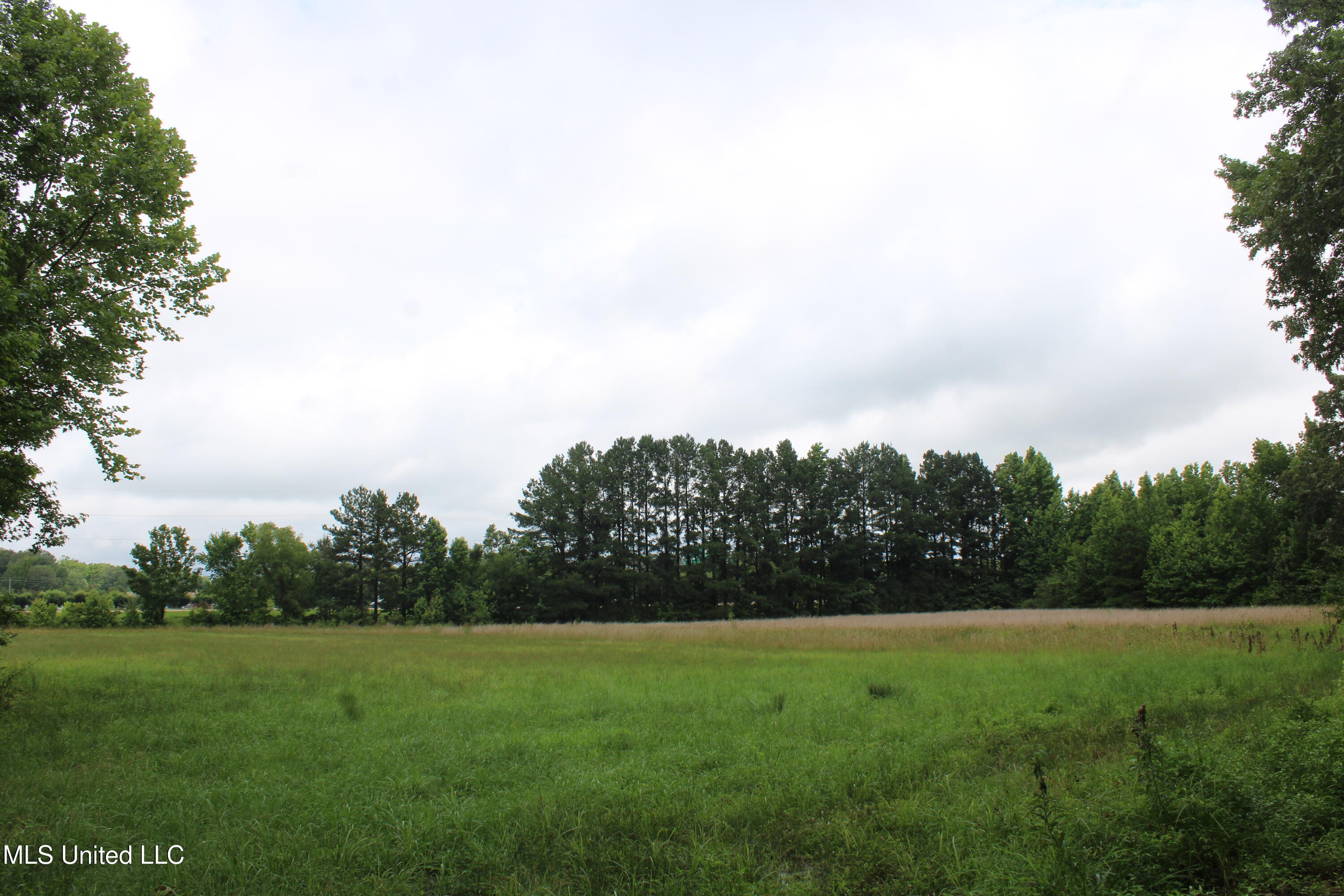 8484 Goodman Road Olive Branch, MS 38654 - Photo 10 of 15 IMG_6258