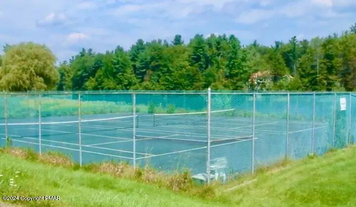 Sir Lionel Court Blakeslee, PA 18610 - Photo 23 of 23 a view of a backyard