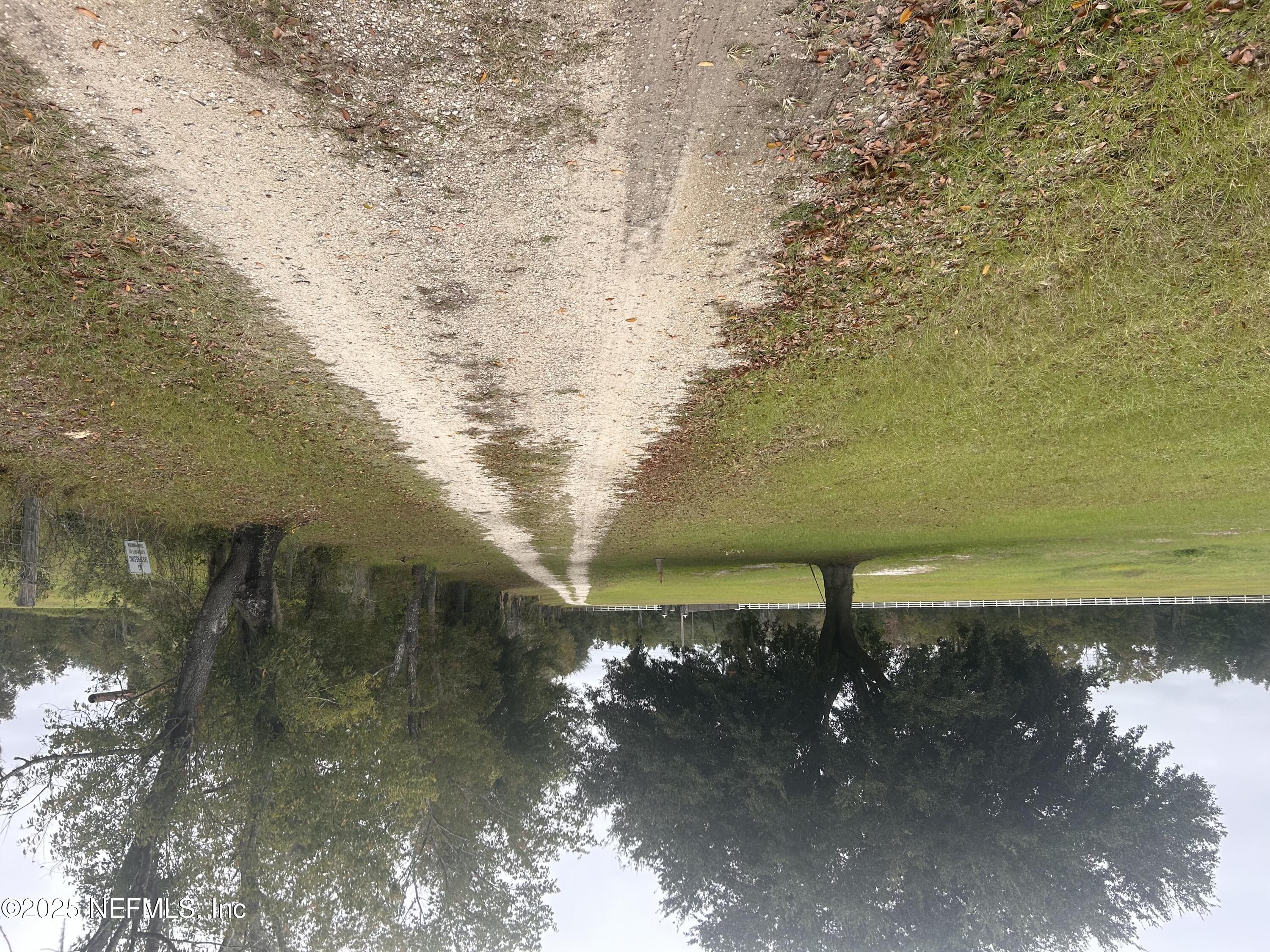 a view of yard with trees