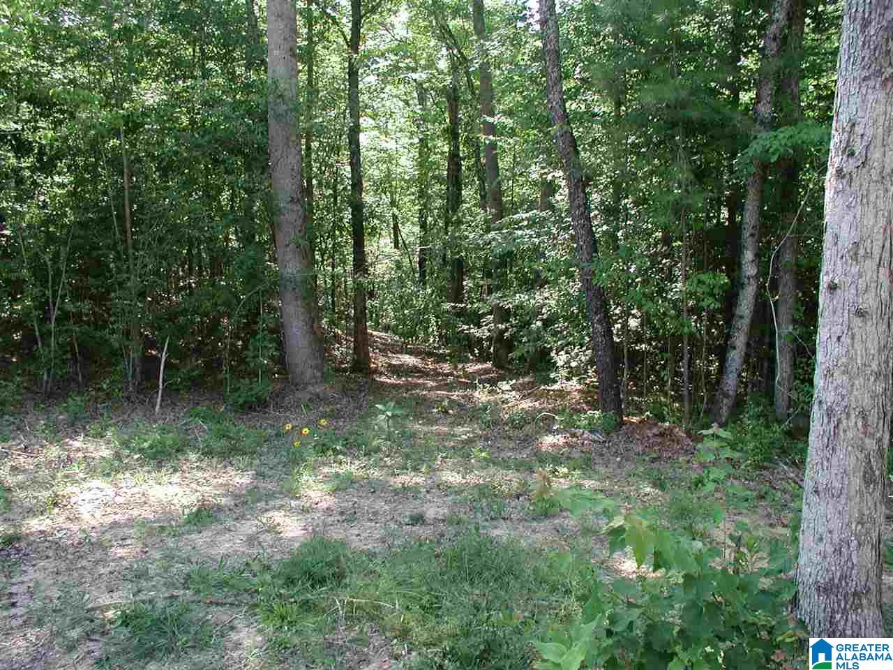 0 Macedonia Road, Unit 1 Sylacauga, AL 35150 - Photo 7 of 8