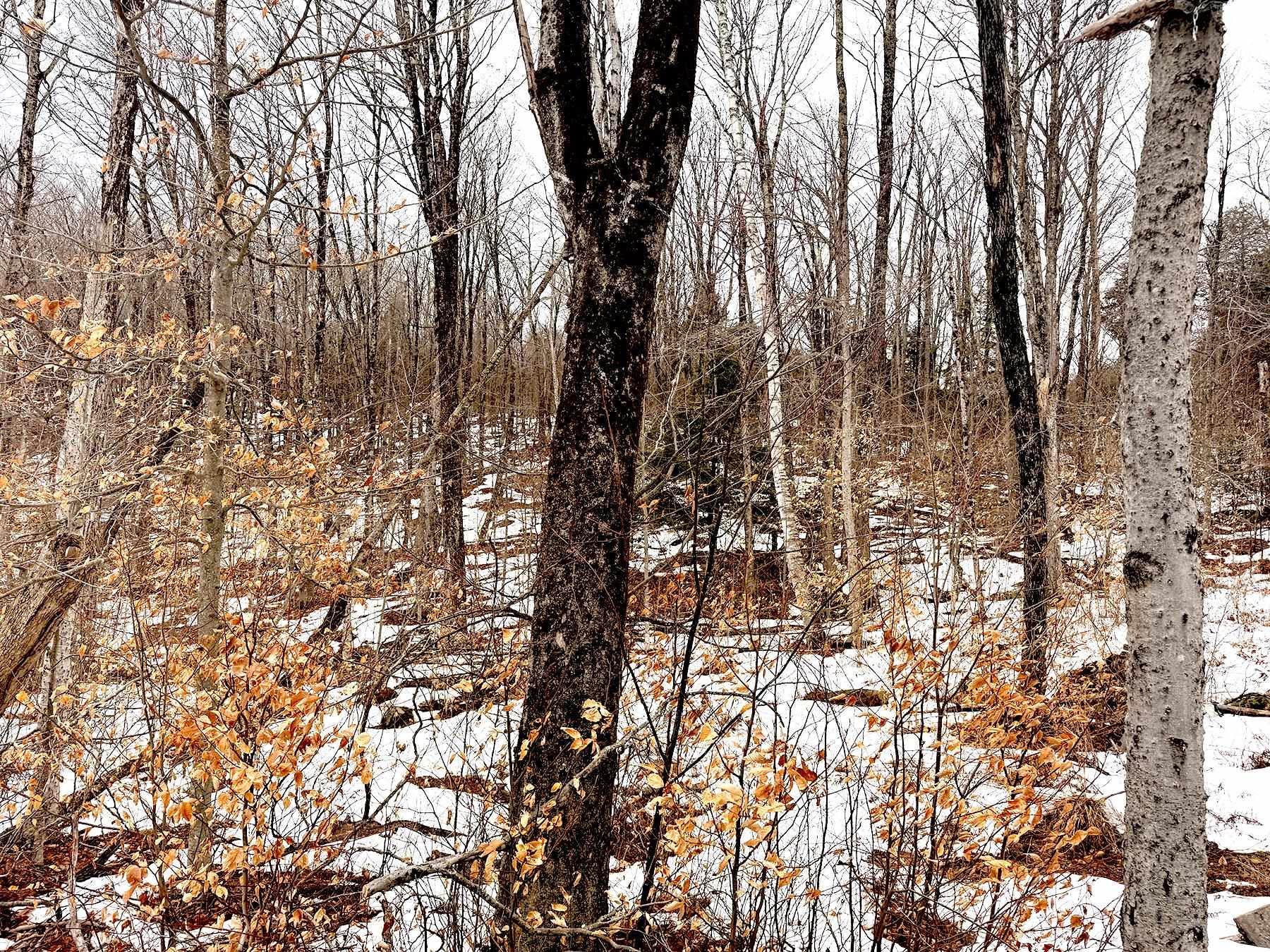 202-l 7 Stark Road Lempster, NH 03605 - Photo 18 of 23