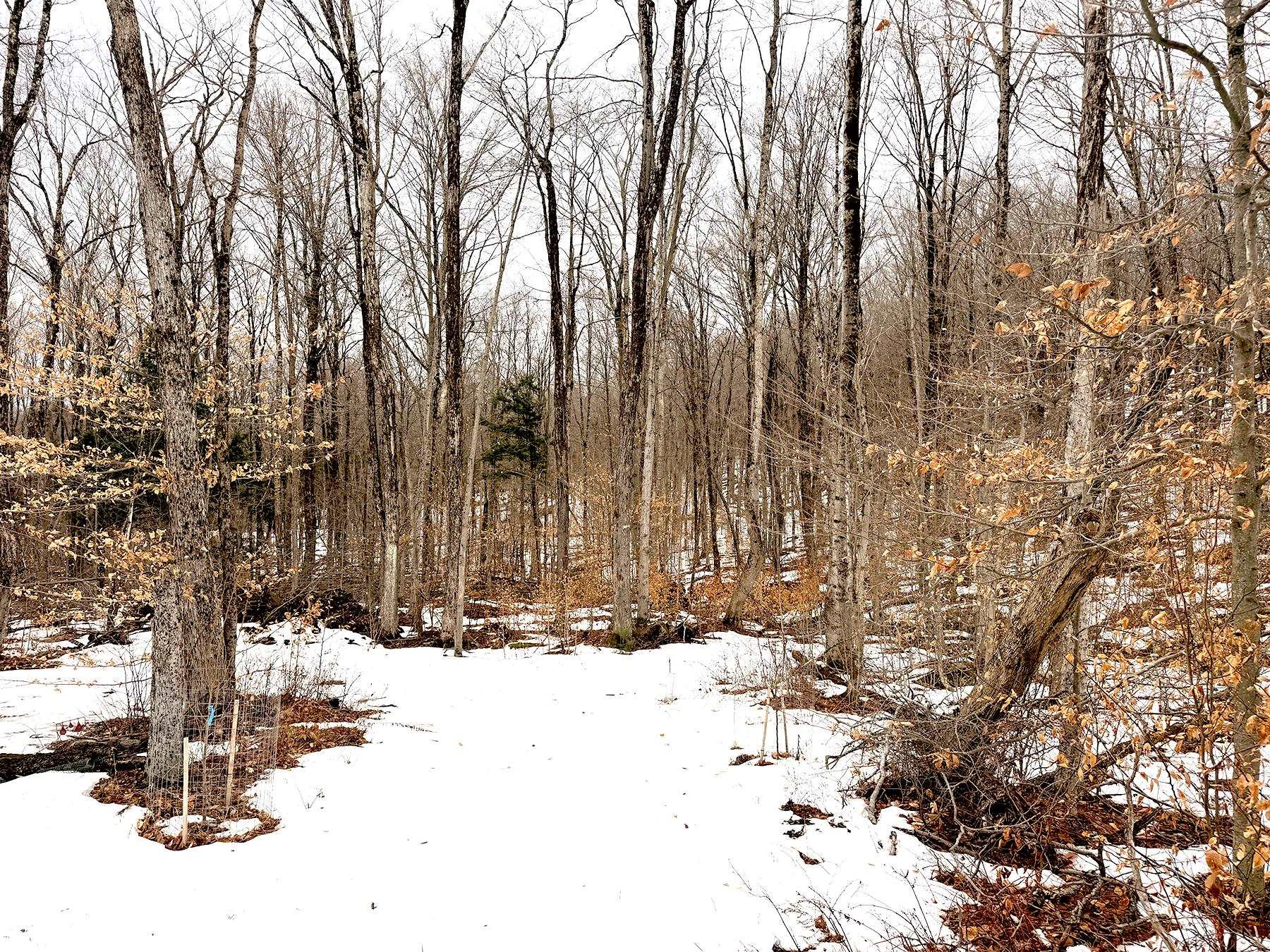 202-l 7 Stark Road Lempster, NH 03605 - Photo 19 of 23