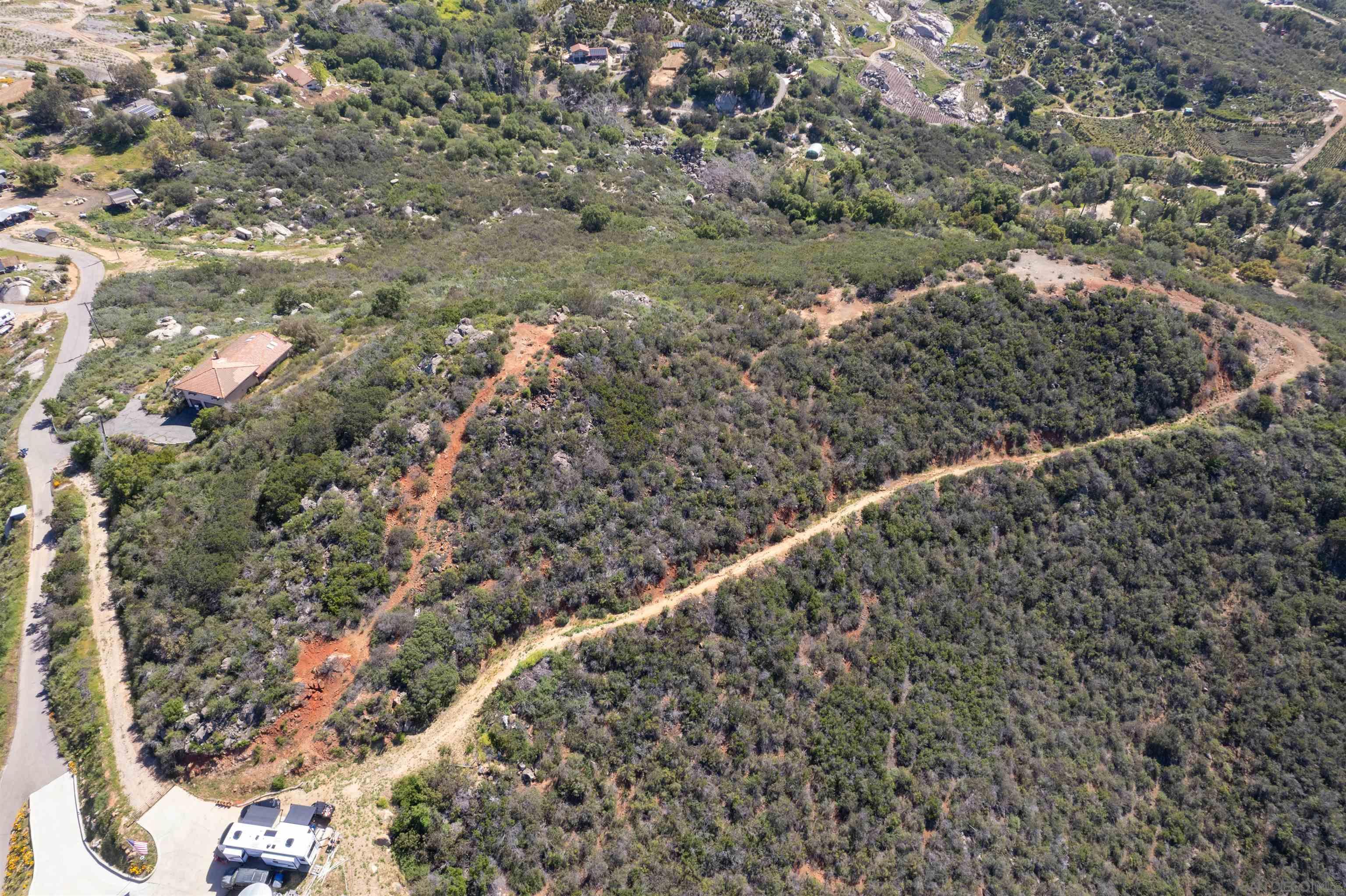 10 Cool Water Ranch Road Valley Center, CA 92082 - Photo 7 of 9 a view of a forest with a tree