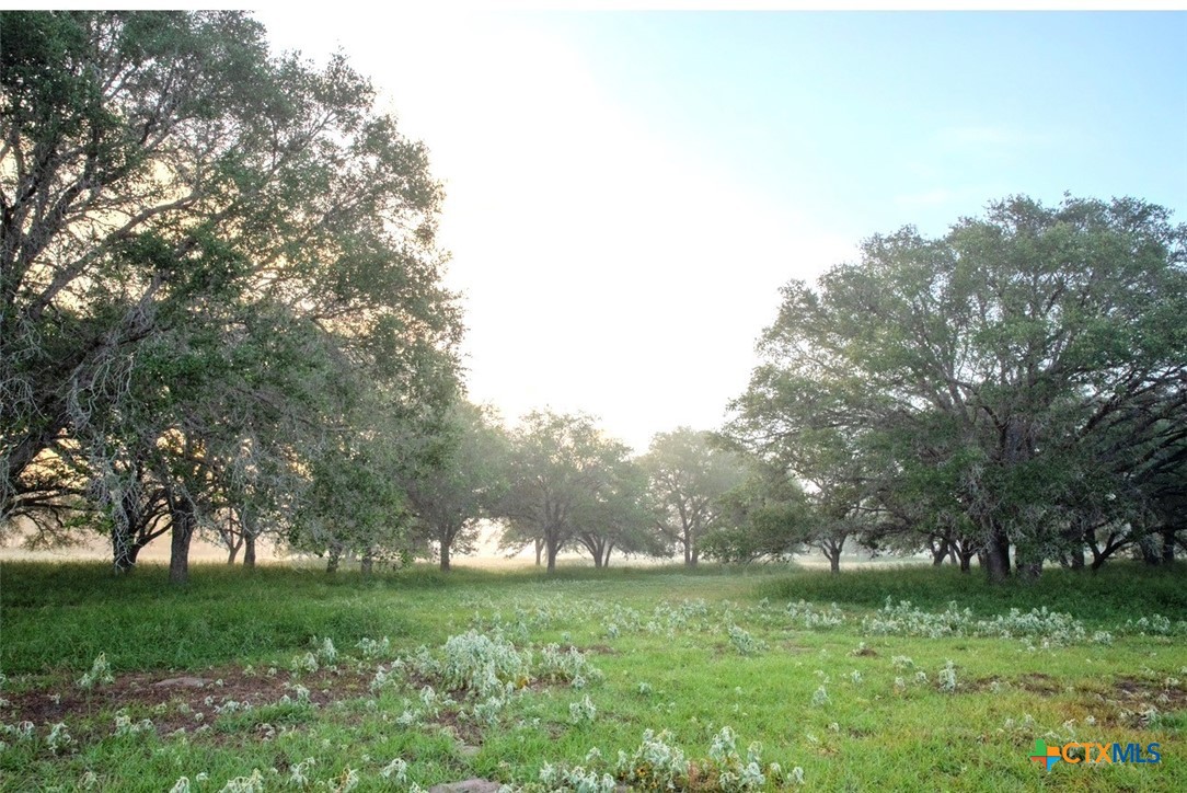 3240 Concrete-Edgar Road Cuero, TX 77954 - Photo 22 of 26