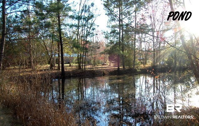 12050 Mary Ann Bch Road Fairhope, AL 36532 - Photo 28 of 44
