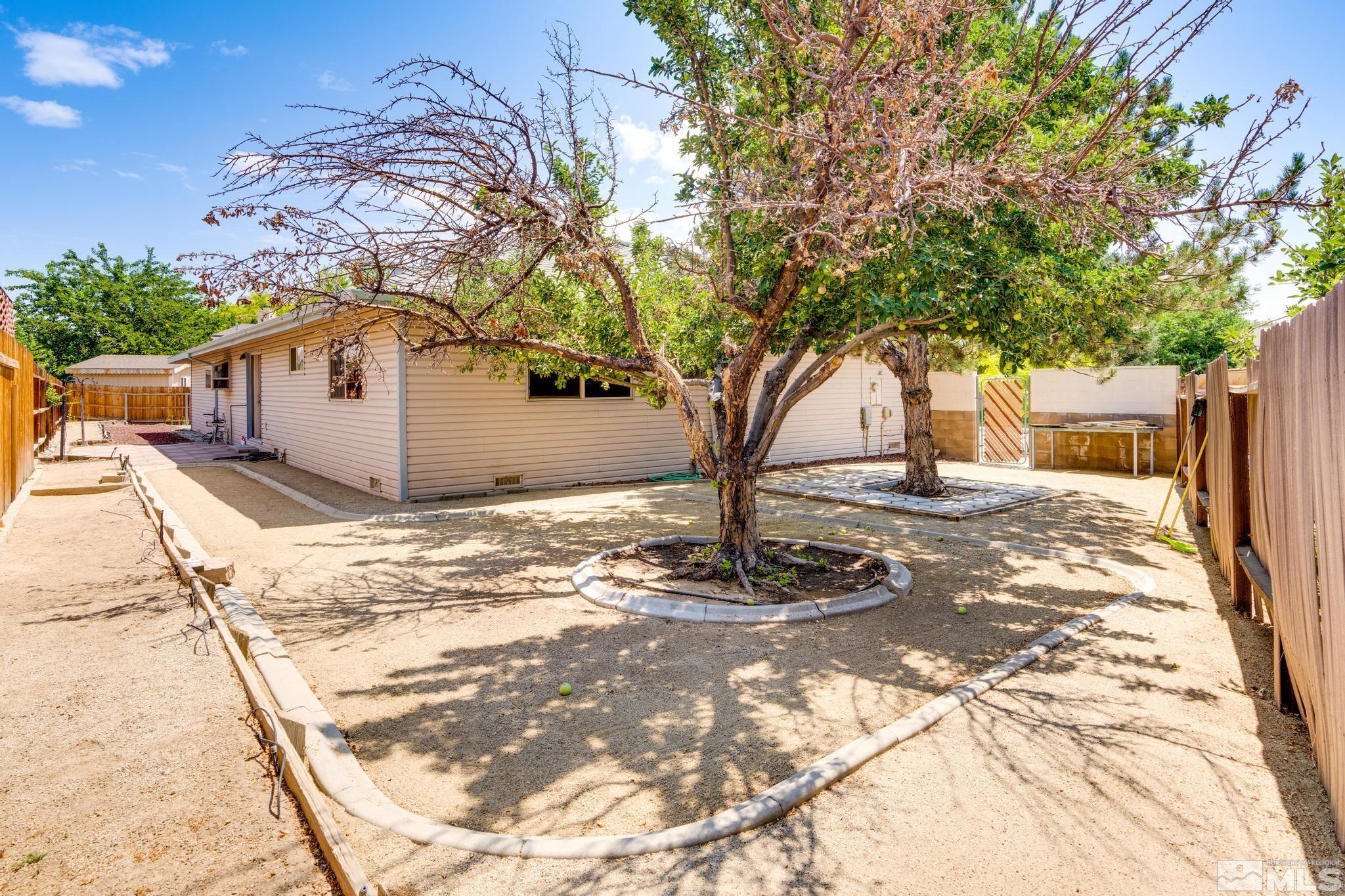 1850 Karin Drive Carson City, NV 89706 - Photo 35 of 40 a tree in front of a white house